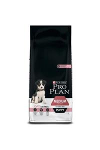 Purina Pro Plan Pro Plan Sensitive Somonlu Orta Irk Yavru Köpek Maması 12 Kg