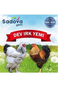 SADOVA YEM Sadova Dev Irk Civciv Yemi - 1101 Toz-granül