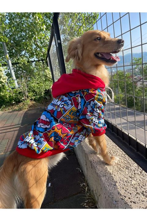 Barneystore Kedi Köpek Çıt Çıtlı Boom Ceket