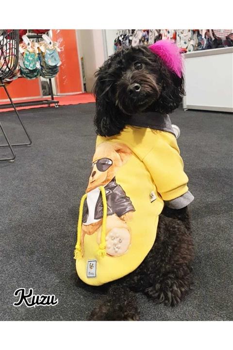 MİNİŞ PET BUTİK Gömlek Yakalı Sweatshırt