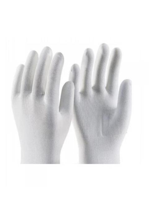 Kastore Sülük Eldiveni