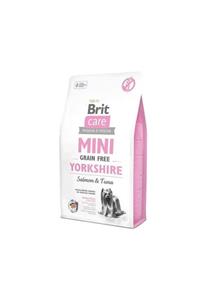 Brit Care Care Mini Yorkshire Somonlu Tahılsız Köpek Maması 2 kg