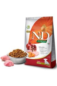 N&D Nd Pumpkin Tavuklu Narlı Tahılsız Yavru Köpek Maması 2,5 Kg