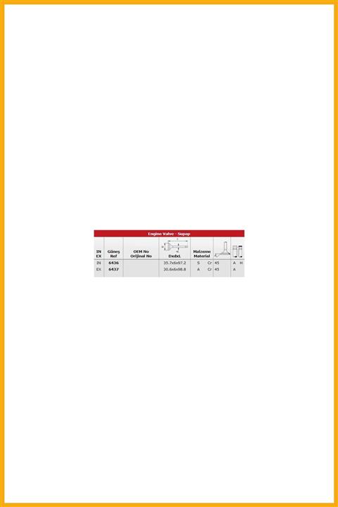 AAVDAN Subap Takımı X Traıl 2,0 16v (ın 8 / Ex 8)