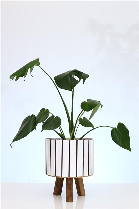 Hakan Mobilya Beyaz Ahşap Ayaklı Yuvarlak Orta Saksı Dekoratif Çiçeklik Balkon Bahçe Ofis Salon Ahşap Saksılık