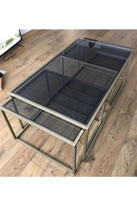 zey designer Metal Gold 2 Yavrulu Orta Sehpa