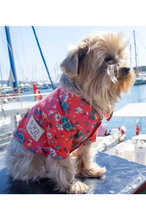 Oli and Lui Olı And Luı Red Blossom Kedi Köpek Gömleği