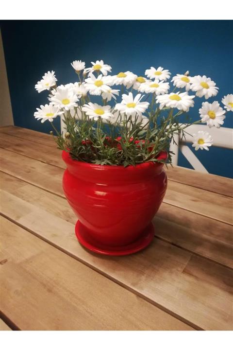 Balcony Flower Çömlek Saksı