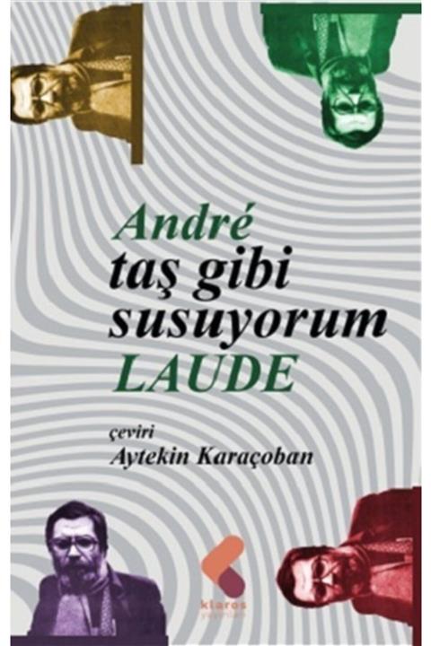 Klaros Yayınları Taş Gibi Susuyorum