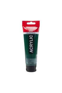 Talens Amsterdam Akrilik Boya 120 ml. 623 Sap Green