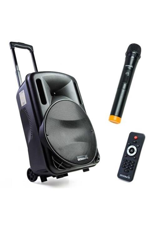 OSAWA Osw-9130 12 Inç 80w Portatif Seyyar Ses Sistemi - El