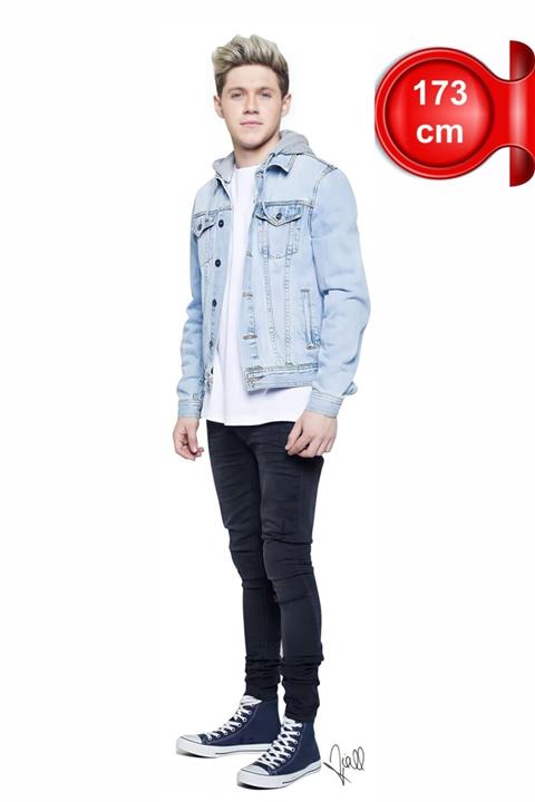 dakik reklam Niall Horan Maketi Ayaklı Pvc Maket Hediye Niall Horan Maket Tam Boy