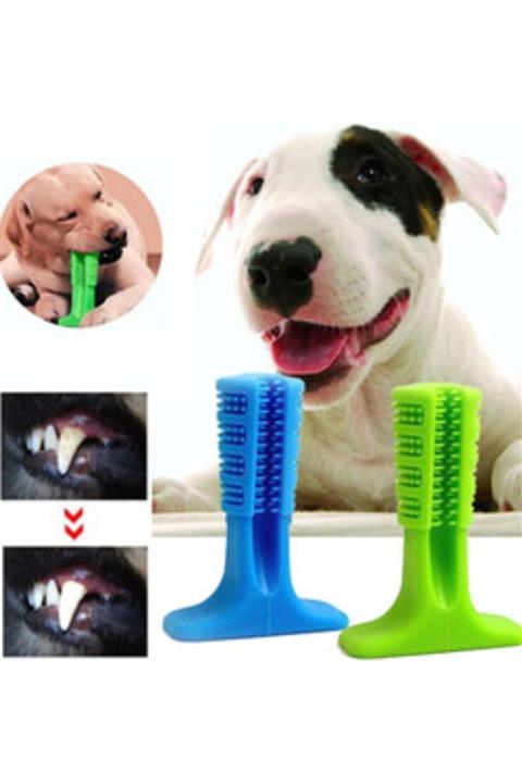 DEST TİCARET Köpek Diş Temizleyici Ve Kaşıyıcı Sağlıklı Küçük Boy Oyuncak