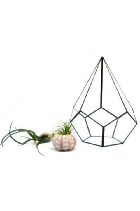 KRAFTZON Vitrail Damla Geometrik Cam Fanus Small