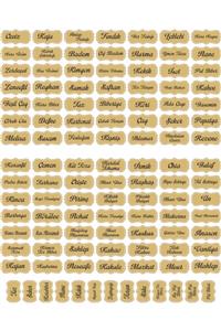 DOGRUDANDEKOR Gold 111 Adet Kuruyemiş - Baharat - Bakliyat Kavanoz Etiketi Sticker
