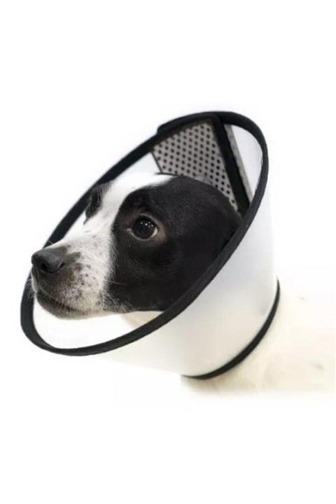 Olay Pet Elizabeth Yakalık 50 cm