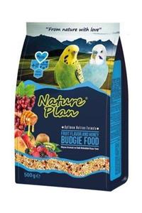 Nature Plan Meyve Aromalı Ballı Muhabbet Yemi 500 gr.