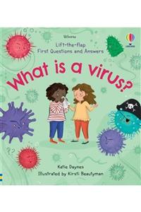 Usborne Lift-the-flap First Questions And Answers What Is A Virus