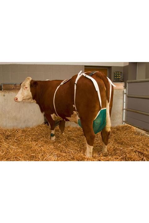 KERBL Meme Sütyeni Large Ebat