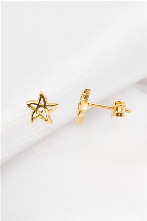 Bilezikci Yıldız 22 Ayar Altın Klipsli Küpe