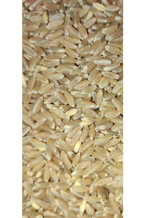 BUĞDAY OVASI Makarnalık Sert Buğday 25 Kg