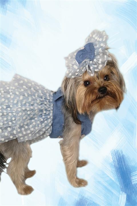 PuppyDoggy Prenses Köpek Elbisesi