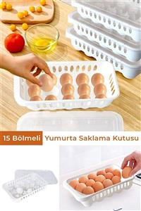 Helen's Home 15 Bölmeli Yumurta Saklama Kutusu Yumurta Saklama Kabı