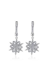 Carat Laboratories Kadın 0,66 Carat Fantezi Küpe CE20830