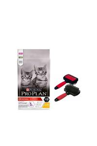 Proplan Kitten 3 Kg Yavru Kedi Maması + Polo Çift Taraflı Tarak