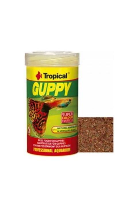 Tropical Guppy Lepistes Için Pul Yem 100ml