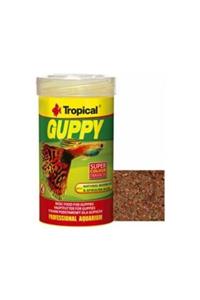 Tropical Guppy Lepistes Için Pul Yem 100ml