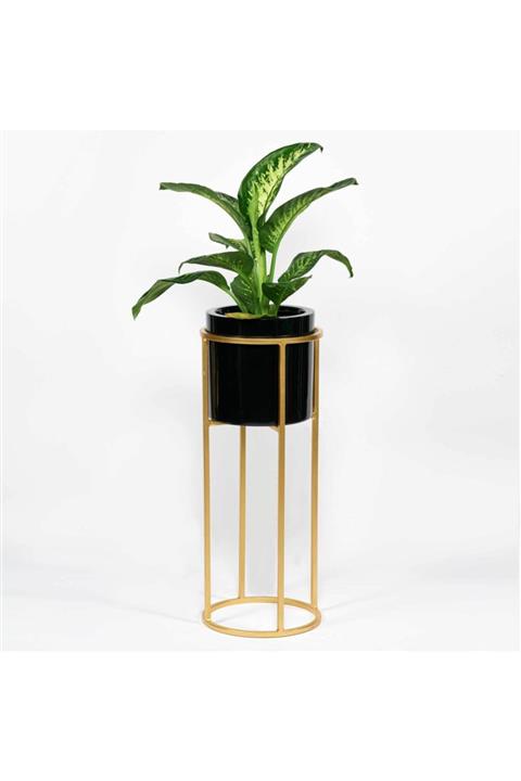 Edvu Konsept Vina Silindir Demir Ayaklı Saksı Siyah 36x64