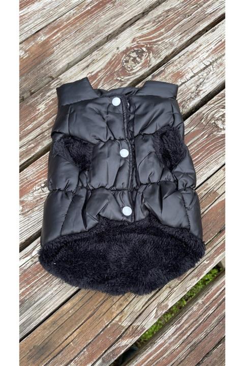 Kiwi pet Köpek Mont/yelek