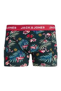 Jack & Jones Jack Jones Flower Bird Trunks Ln Erkek Yeşil Boxer 12194101-21