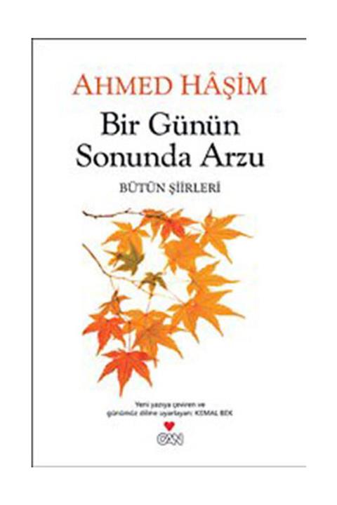 Can Sanat Yayınları Bir Günün Sonunda Arzu