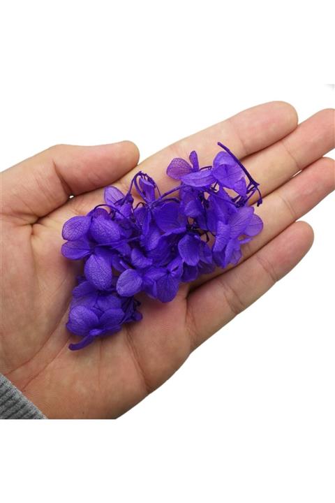 Hobizubi Kurutulmuş Çiçek - Mor