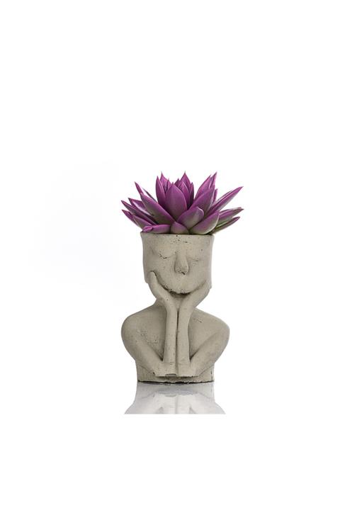 ciceksanat Thinky Saksıda Pembe Sukulent