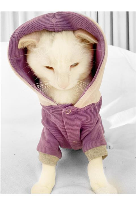 Kemique Dolly Chique Kedi Tulumu Kedi Kıyafeti