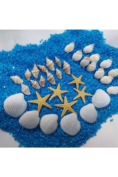 Aker Hediyelik Özel Deniz Kabuğu 250gr Deniz Kabukları Silis Kabuk 07mm-2,5cm + 250gr Teraryum Mavi Kum+yıldız