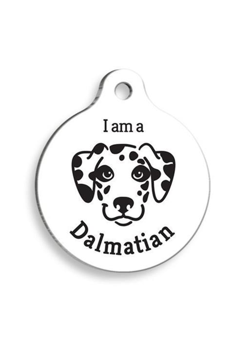 altın pati Beyaz Dalmaçyalı Yuvarlak Köpek Künyesi