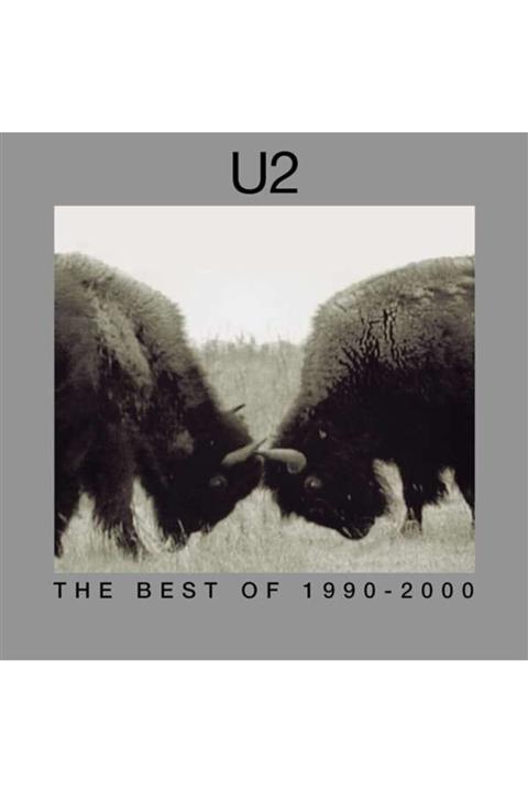 plakmarketi Yabancı Plak U2 The Best Of 1990-2000 Remastered 2018 2lp