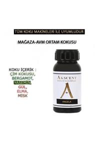 AKSCENT Tüm Koku Makinelerine Uyumlu Koku Makinesi Koku Esansı Angelcw 250 Ml