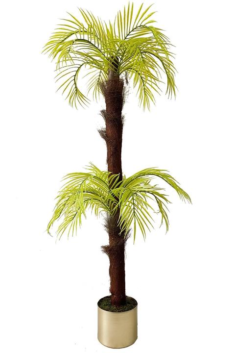 Hediye Vitrini Palmiye Ağacı Bronz Saksı Da Yeşil Palmiye Ağacı Muz Lifine Sarılı 2 Katlı Areka 130 Cm