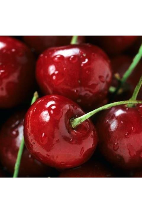 ALİBOTANİK Kiraz Fidanı Napolyon 0900 Prunus Avium