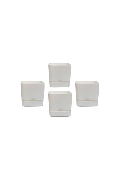 Poliwork 4 Adet Begonya Kare Saksı 16 Cm 2,3 Lt - Beyaz Renk