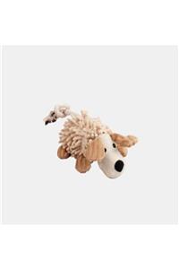 Durbuldum Pawise Dog Molar Toy- Dog Köpek Oyuncağı