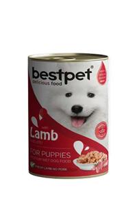 Bestpet Kuzu Etli Konserve Yavru Köpek Maması 400 gr