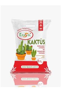 ilpasol Kaktüs Sukulent Lithops Aloe Vera Ve Teraryum Topağı