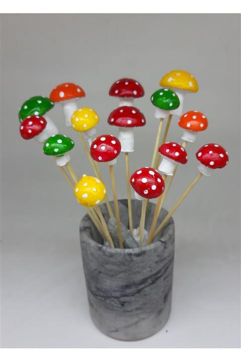 Dodemert Home Büyük-küçük Boy Karişik Saksı Dibi Süsü 10 Luk