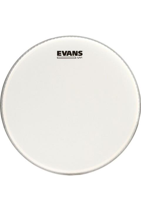 EVANS Bd22uv1 22\